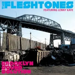 Brooklyn Sound Solution by The Fleshtones