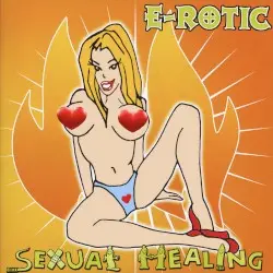 Sexual Healing by E‐Rotic