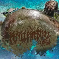 Spent My Day Rotting Away by Phyllomedusa