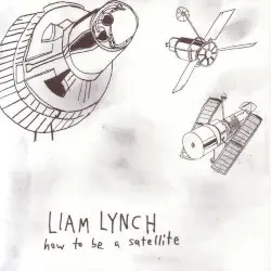 How to Be a Satellite by Liam Lynch