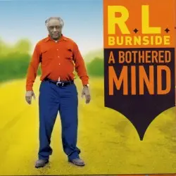 A Bothered Mind by R.L. Burnside