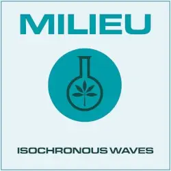 Isochronous Waves by Milieu