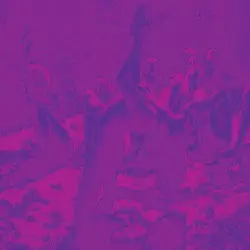 Acid Guru Pond by Acid Guru Pond
