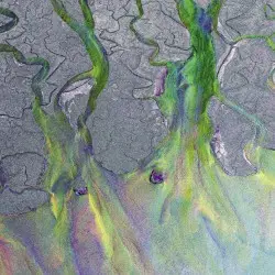 An Awesome Wave by alt‐J