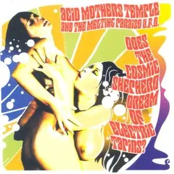 Does the Cosmic Shepherd Dream of Electric Tapirs? by Acid Mothers Temple and The Melting Paraiso U.F.O.