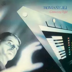 Connecting Flight by Roland Romanelli