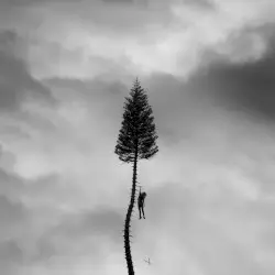 A Black Mile to the Surface by Manchester Orchestra