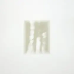 Forgiveness Is Yours by Fat White Family