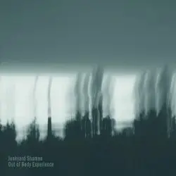 Out of Body Experience by Junkyard Shaman