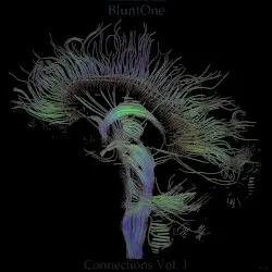 Connections, Vol. 1 by BluntOne