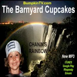 Chanin’s Rainbow by The Barnyard Cupcakes