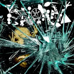 Glass To Face Avocation by Phyllomedusa