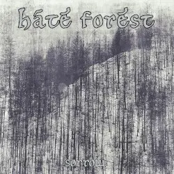 Sorrow by Hate Forest
