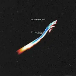 Tam, Gde Nas Net LP by The Violent Youth