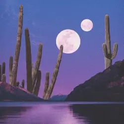 Cactus Island by Mujo & Hakone