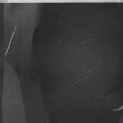 Perplexor by Philip Sulidae
