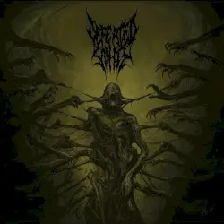Passages Into Deformity by Defeated Sanity
