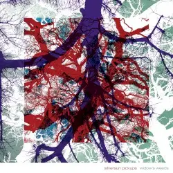 Widow’s Weeds by Silversun Pickups