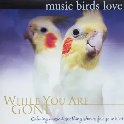 While You Were Gone - Music Birds Love by Bradley Joseph