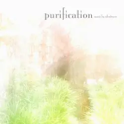 Purification by silentwave