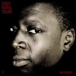 The Secret by Vieux Farka Touré