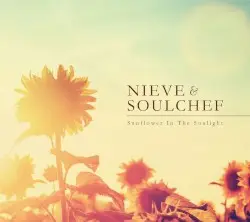 Sunflower In The Sunlight by Nieve & SoulChef