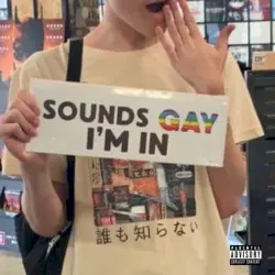 SOUNDS GAY I’M IN by ZEDNED