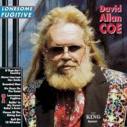 Lonesome Fugitive by David Allan Coe