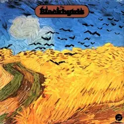 The Blackbyrds by The Blackbyrds