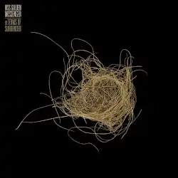 Terms of Surrender by Hiss Golden Messenger