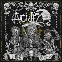 IN PUNK WE THRASH by Acidez
