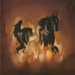 The Besnard Lakes Are the Dark Horse by The Besnard Lakes