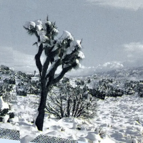 Pale Calling by Oren Ambarchi / Kassel Jaeger / James Rushford