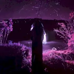 Entity by Sidewalks and Skeletons