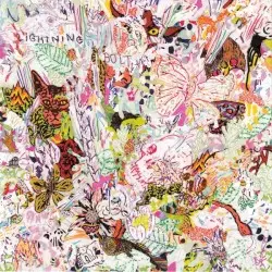 Earthly Delights by Lightning Bolt