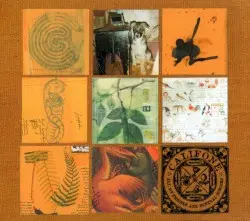 All My Friends Are Funeral Singers by Califone