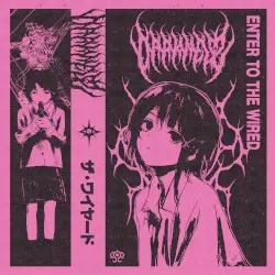 ENTER TO THE WIRED by DΛRKNΣSS