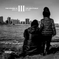 The Course of the Inevitable 3: Pieces of My Pain by Lloyd Banks