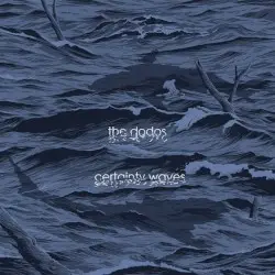 Certainty Waves by The Dodos