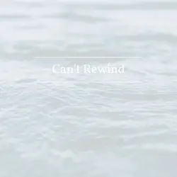 Can’t Rewind by Natey Love