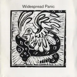 Widespread Panic by Widespread Panic