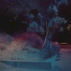 Permanently Midnight by The Gentleman Losers