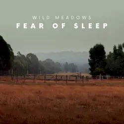 Fear of Sleep by Wild Meadows