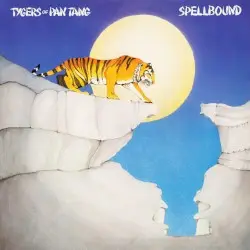 Spellbound by Tygers of Pan Tang