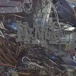 Resonations in B by Junkyard Shaman