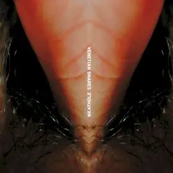 Meathole by Venetian Snares