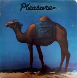 Dust Yourself Off by Pleasure