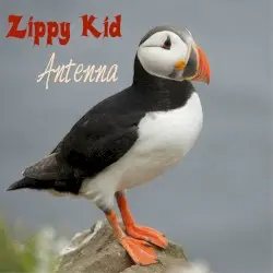 Antenna by Zippy Kid