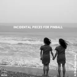 Incidental Pieces for Pinball by A Blue Rose Case