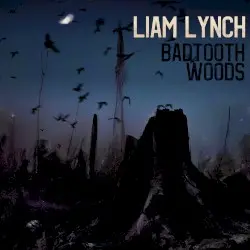 Badtooth Woods by Liam Lynch